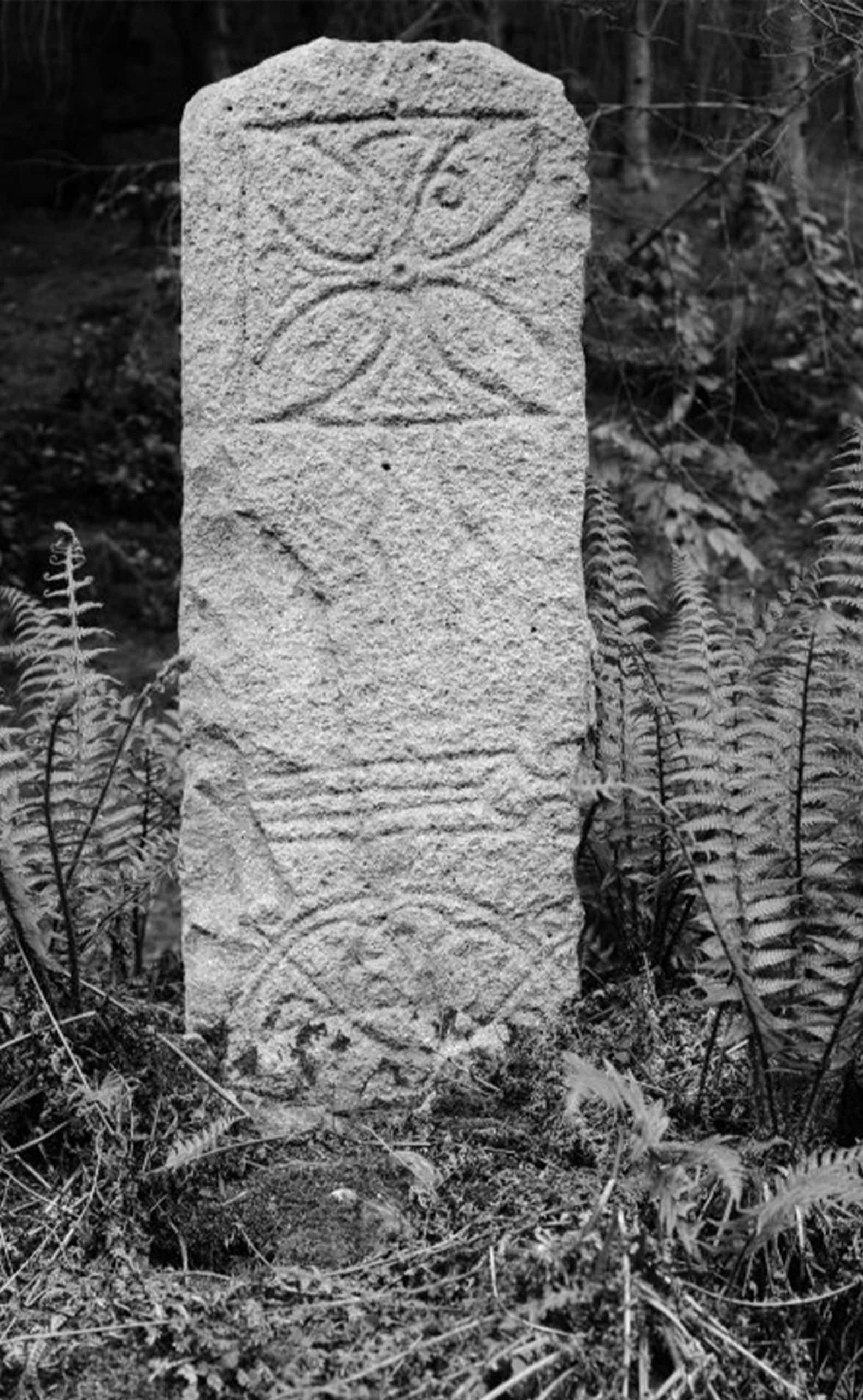 Pictish Stone, Isle of Raasay